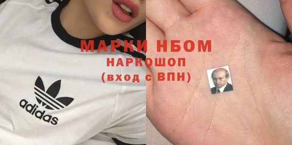 индика Магас