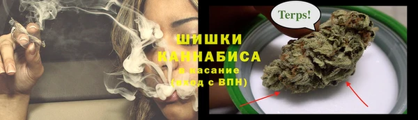 шишки Инта