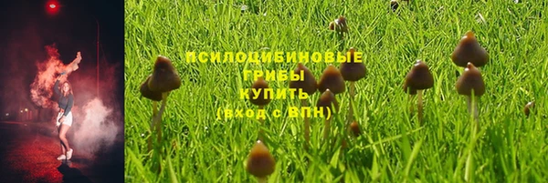 спайс Заволжск