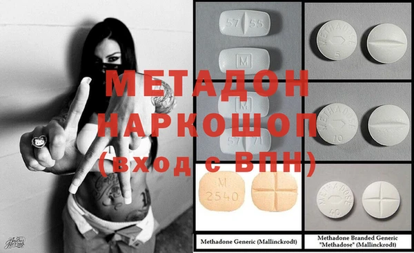 шишки Инта