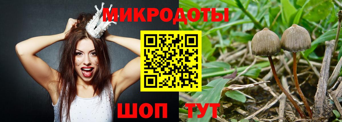Псилоцибиновые грибы Cubensis  где можно купить наркотик  Вход с VPN  Сердобск  Галлюциногенные грибы прущие грибы 