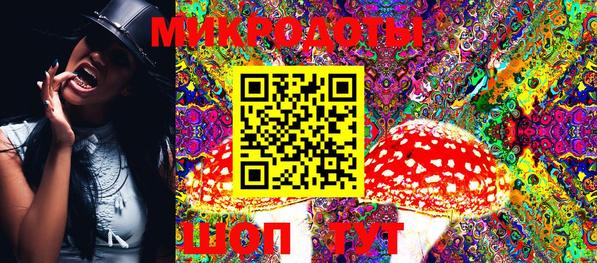 Псилоцибиновые грибы Cubensis Сердобск