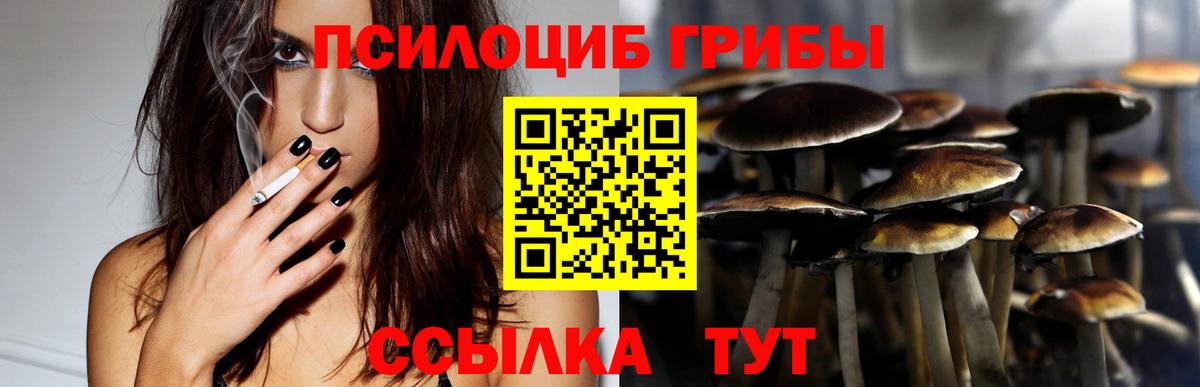 Галлюциногенные грибы Psilocybine cubensis  Галлюциногенные грибы GOLDEN TEACHER  Сердобск 